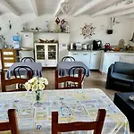 B&B Tigrillo