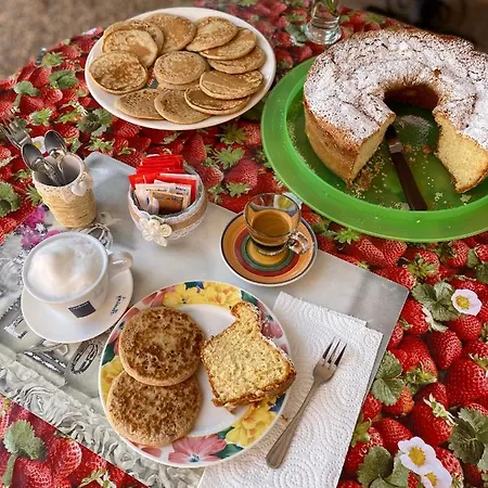 Tigrillo לינה וארוחת בוקר