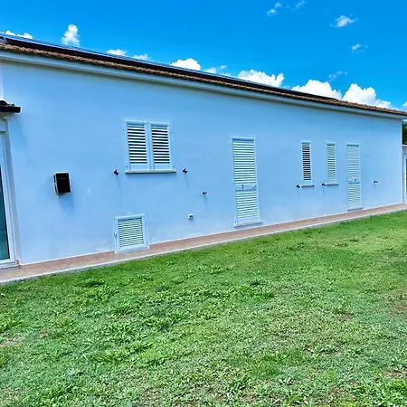 Tigrillo אולביה