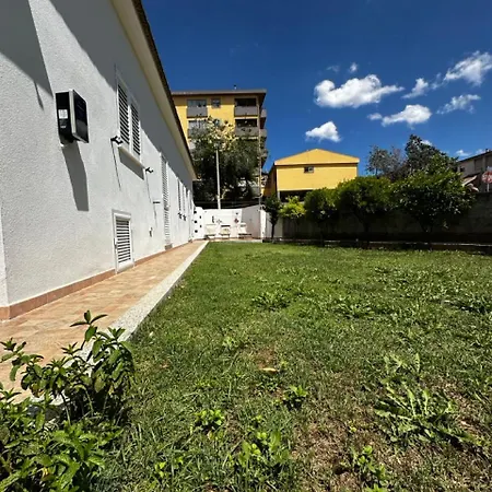 Tigrillo אולביה