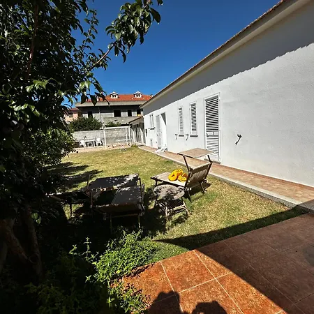 Tigrillo 奧爾比亞