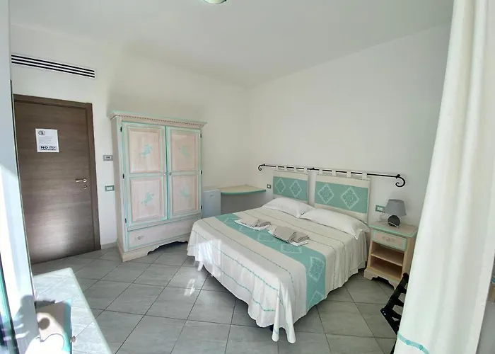 Tigrillo Ольбия