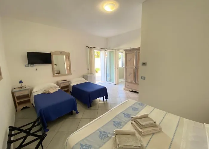 Tigrillo Ольбия