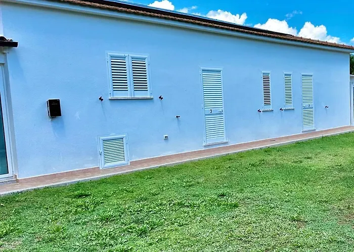 Tigrillo 奧爾比亞