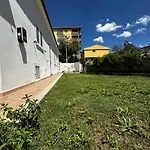Tigrillo Olbia