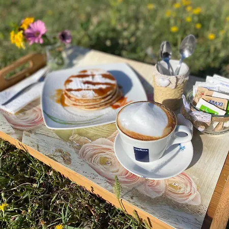 Tigrillo Oda ve Kahvaltı