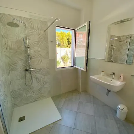 Tigrillo Ольбия