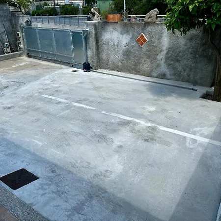 Tigrillo Olbia
