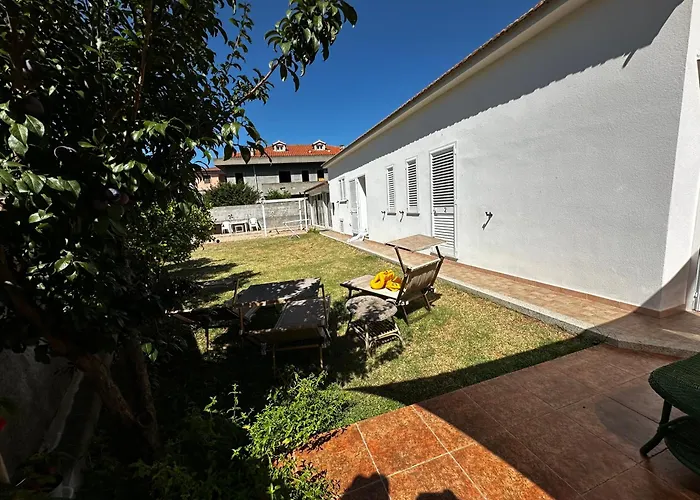 Tigrillo Ольбія